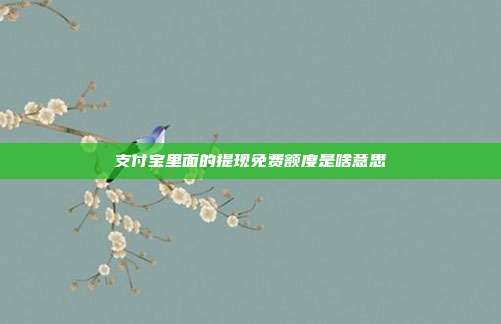 支付宝里面的提现免费额度是啥意思