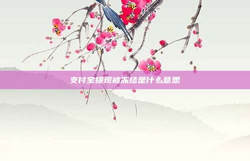 支付宝提现被冻结是什么意思