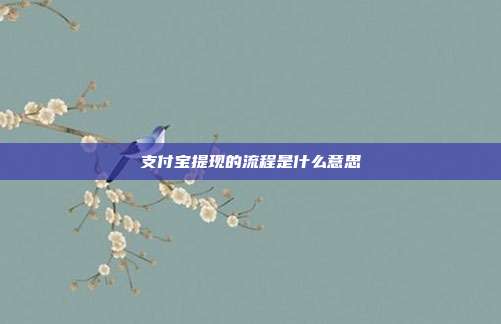 支付宝提现的流程是什么意思