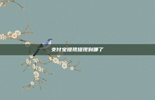 支付宝提现提现到哪了