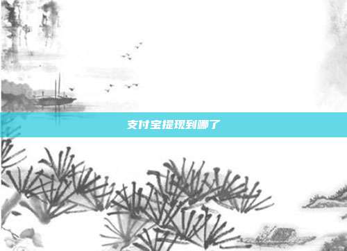 支付宝提现到哪了