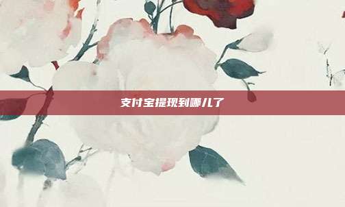 支付宝提现到哪儿了