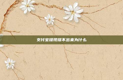 支付宝提现提不出来为什么