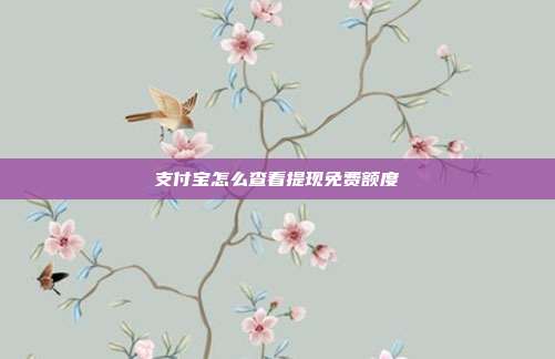 支付宝怎么查看提现免费额度