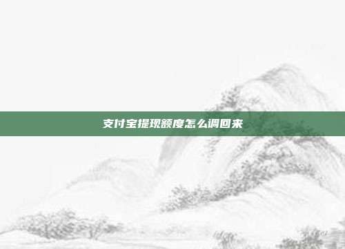 支付宝提现额度怎么调回来