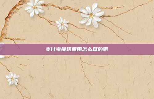 支付宝提现费用怎么算的啊