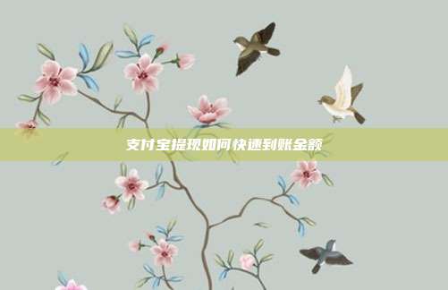 支付宝提现如何快速到账金额