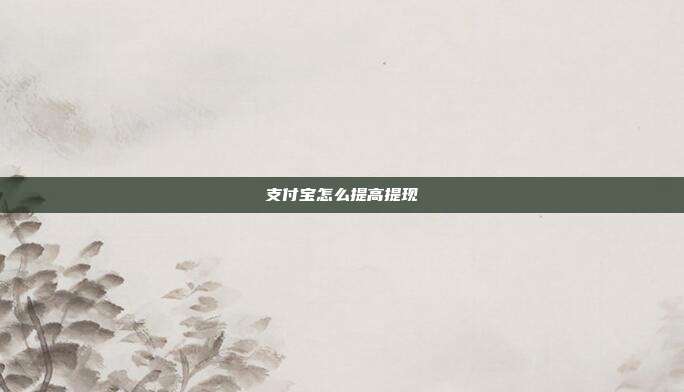 支付宝怎么提高提现