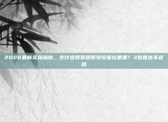 2026最新实操指南，支付宝网页版账号设置在哪里？3步直达不迷路