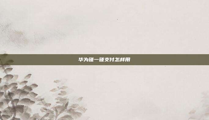 华为碰一碰支付怎样用