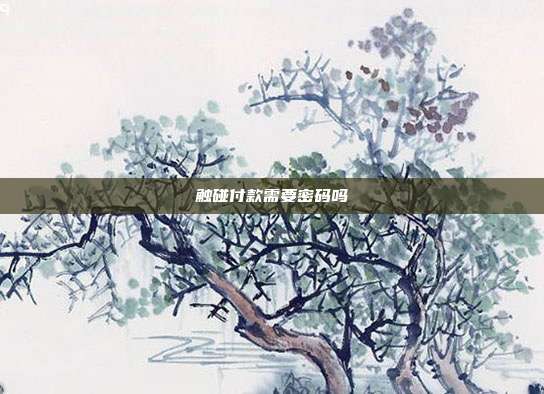 触碰付款需要密码吗