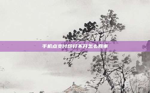 手机点支付却打不开怎么回事