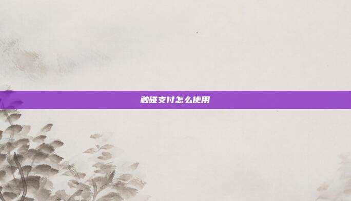 触碰支付怎么使用