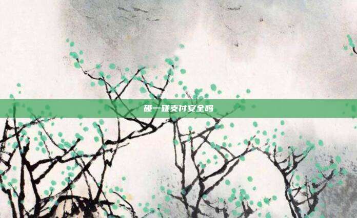 碰一碰支付安全吗