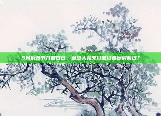5月消费节开启首日，多少人和支付宝红包擦肩而过？