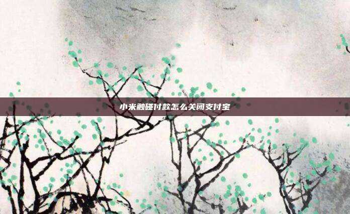 小米触碰付款怎么关闭支付宝