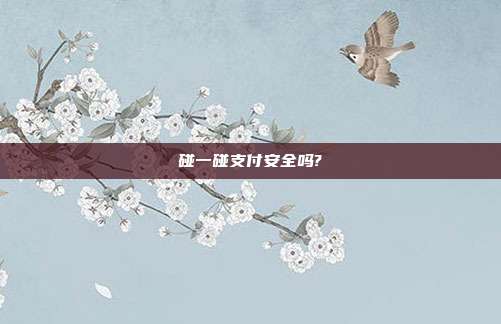 碰一碰支付安全吗?