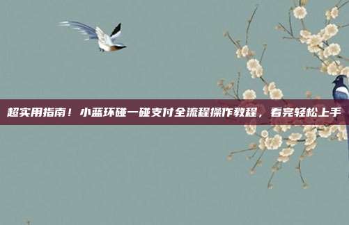 超实用指南！小蓝环碰一碰支付全流程操作教程，看完轻松上手