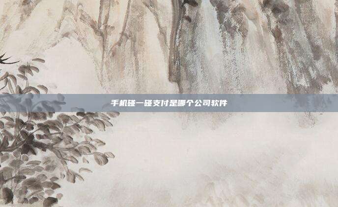 手机碰一碰支付是哪个公司软件