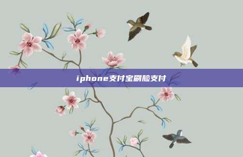 iphone支付宝刷脸支付
