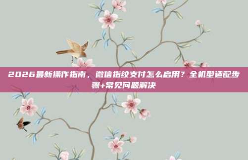 2026最新操作指南，微信指纹支付怎么启用？全机型适配步骤+常见问题解决