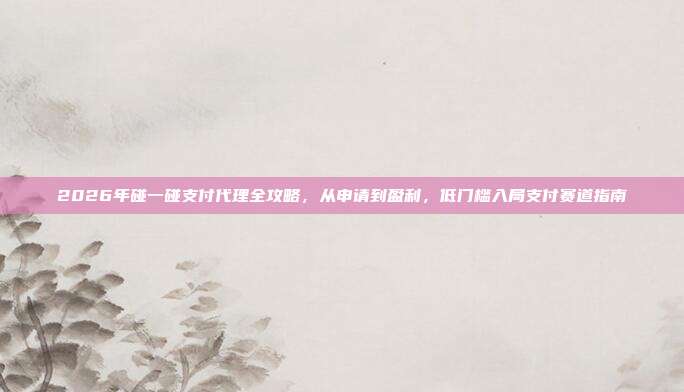 2026年碰一碰支付代理全攻略，从申请到盈利，低门槛入局支付赛道指南