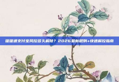 碰碰通支付宝风控多久解除?2026最新规则+快速解控指南