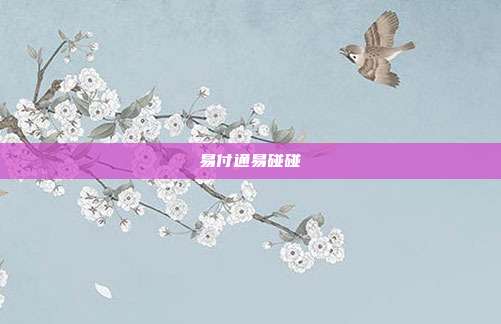 易付通易碰碰