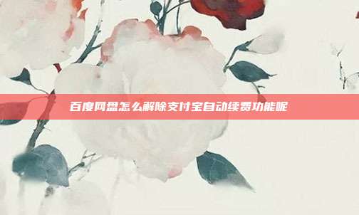 百度网盘怎么解除支付宝自动续费功能呢
