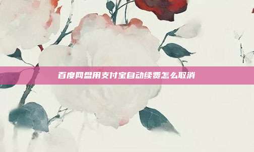 百度网盘用支付宝自动续费怎么取消