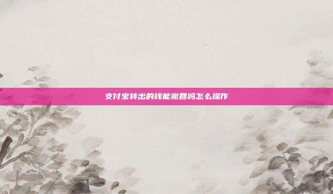 支付宝转出的钱能撤回吗怎么操作