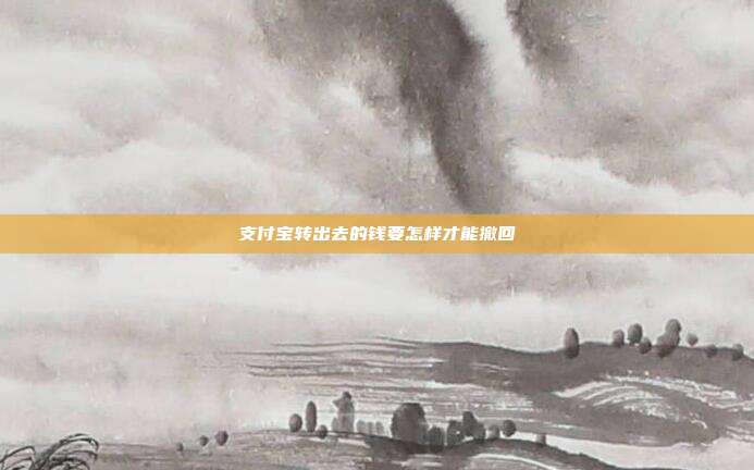 支付宝转出去的钱要怎样才能撤回