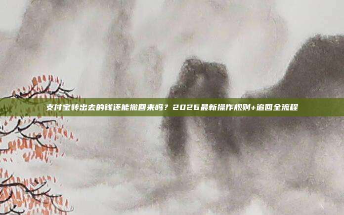 支付宝转出去的钱还能撤回来吗？2026最新操作规则+追回全流程