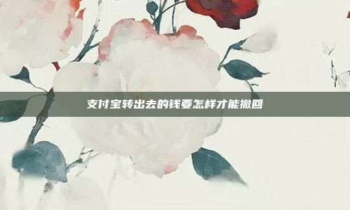 支付宝转出去的钱要怎样才能撤回