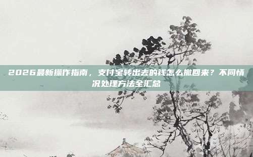 2026最新操作指南，支付宝转出去的钱怎么撤回来？不同情况处理方法全汇总