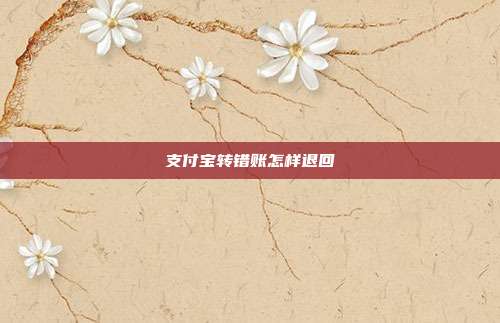 支付宝转错账怎样退回