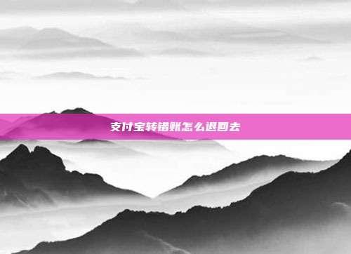 支付宝转错账怎么退回去