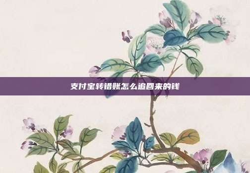 支付宝转错账怎么追回来的钱