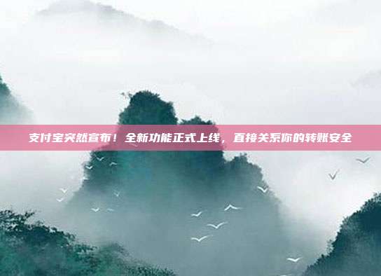 支付宝突然宣布!全新功能正式上线,直接关系你的转账安全