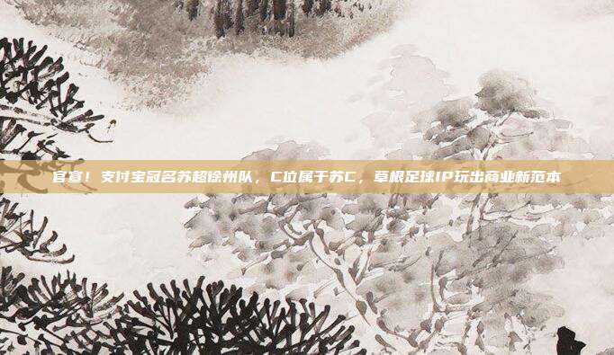 官宣！支付宝冠名苏超徐州队，C位属于苏C，草根足球IP玩出商业新范本