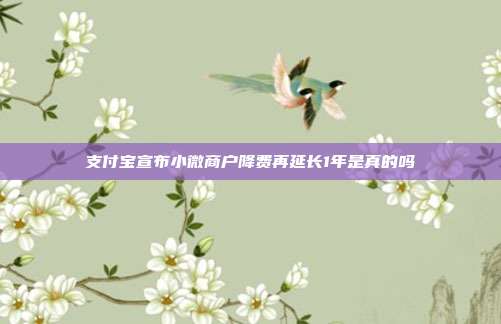 支付宝宣布小微商户降费再延长1年是真的吗