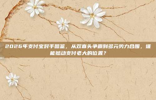 2026年支付宝对手图鉴，从双寡头争霸到多元势力合围，谁能撼动支付老大的位置？
