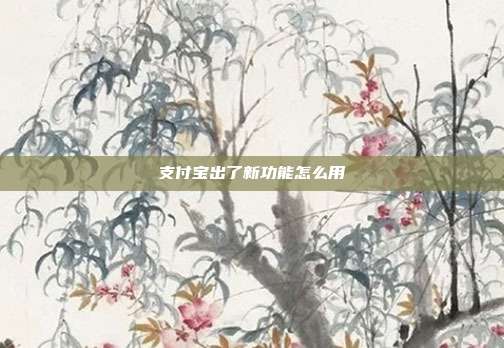 支付宝出了新功能怎么用