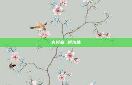 支付宝 新功能