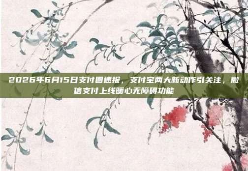 2026年6月15日支付圈速报，支付宝两大新动作引关注，微信支付上线暖心无障碍功能