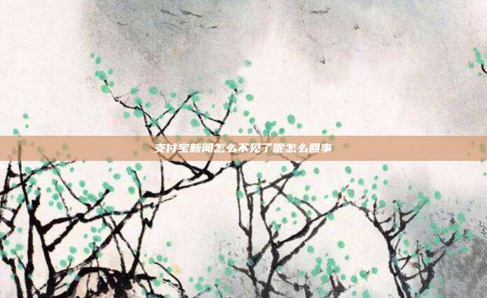 支付宝新闻怎么不见了呢怎么回事
