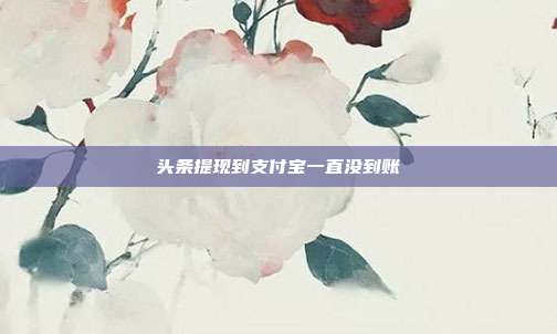头条提现到支付宝一直没到账