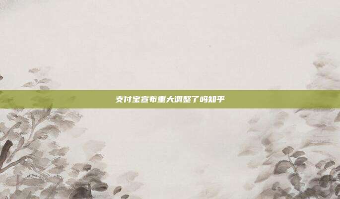 支付宝宣布重大调整了吗知乎