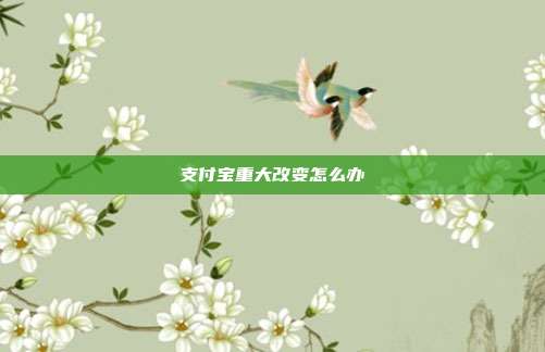 支付宝重大改变怎么办