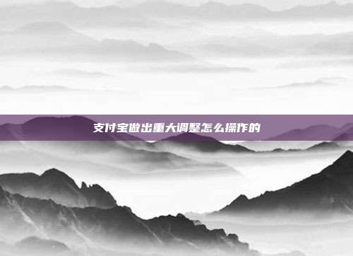 支付宝做出重大调整怎么操作的